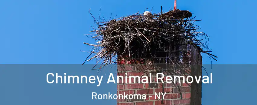  Chimney Animal Removal Ronkonkoma - NY