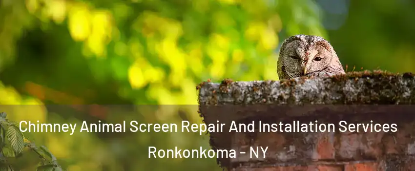  Chimney Animal Screen Repair And Installation Services Ronkonkoma - NY