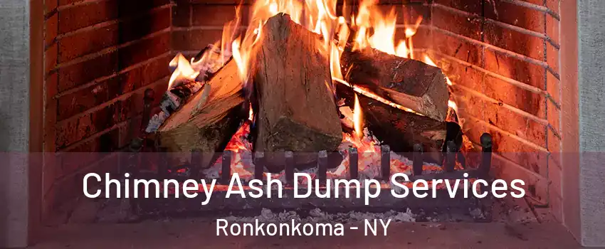  Chimney Ash Dump Services Ronkonkoma - NY