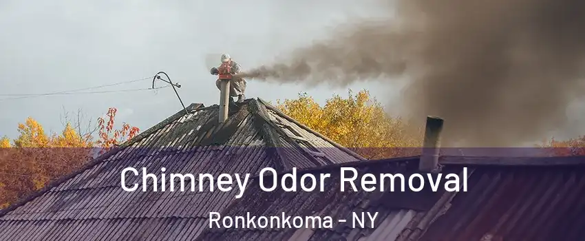  Chimney Odor Removal Ronkonkoma - NY