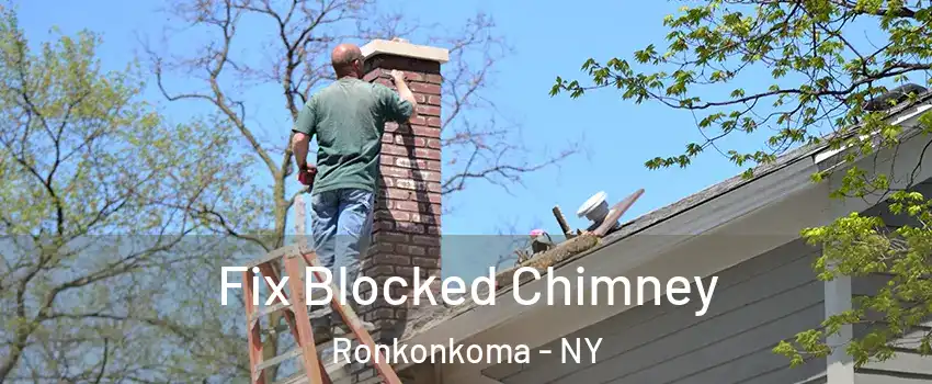  Fix Blocked Chimney Ronkonkoma - NY