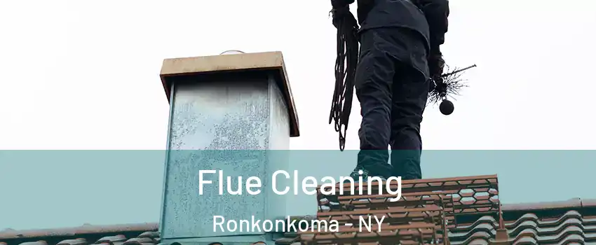  Flue Cleaning Ronkonkoma - NY