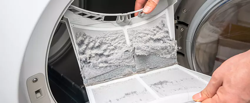 Best Dryer Lint Removal Company in Ronkonkoma, New York