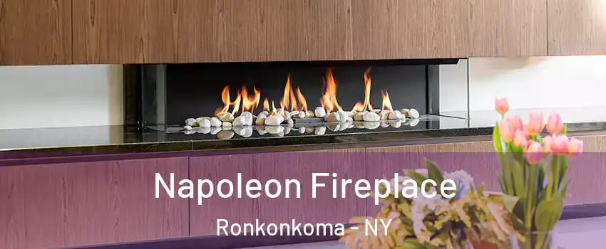  Napoleon Fireplace Ronkonkoma - NY